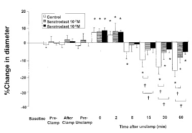 Cerebral microcirculation, brain microcirculation