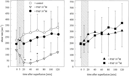 Cerebral microcirculation, brain microcirculation